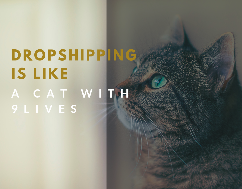 dropshipping is like a cat